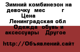 Зимний комбинезон на девочку 6мес. - 1,4 г. › Цена ­ 2 800 - Ленинградская обл. Одежда, обувь и аксессуары » Другое   